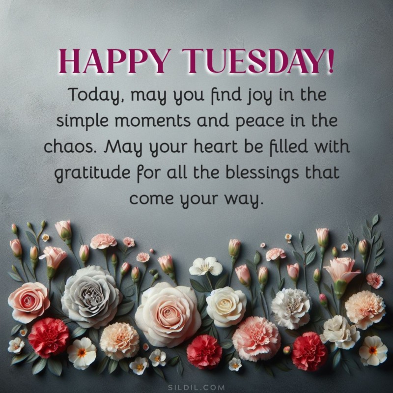 Today, may you find joy in the simple moments and peace in the chaos. May your heart be filled with gratitude for all the blessings that come your way. Happy Tuesday!