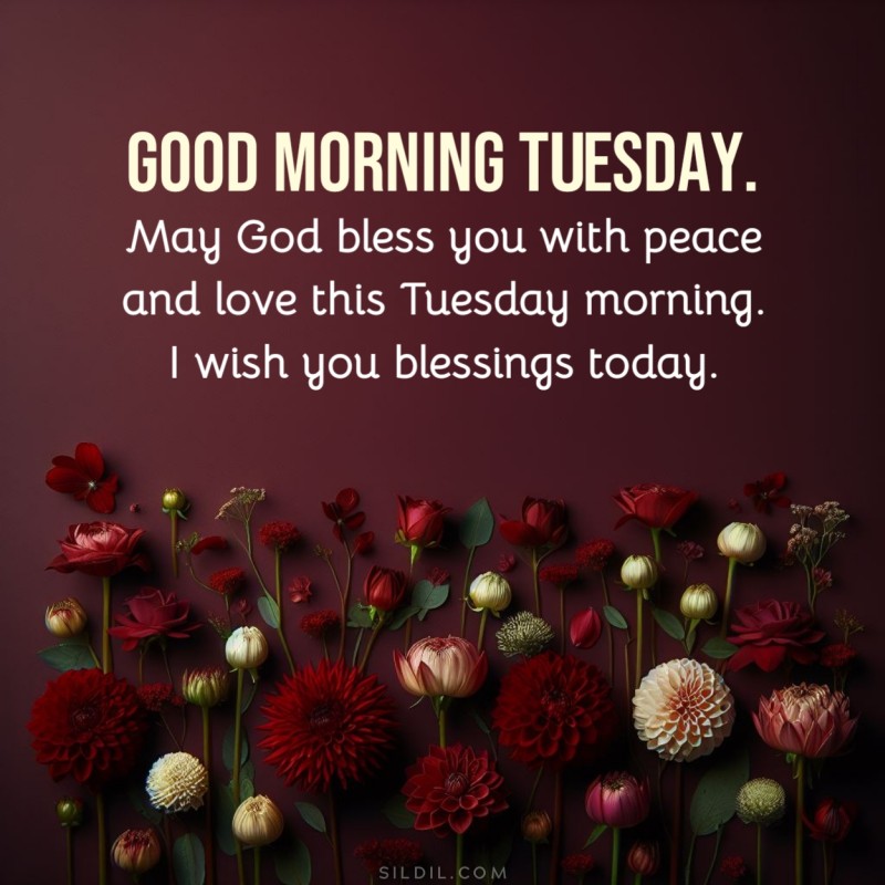 220+ Happy Tuesday Blessings Quotes (INSPIRATIONAL)