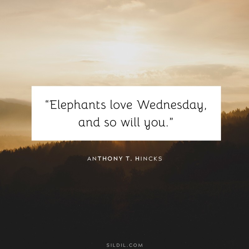 “Elephants love Wednesday, and so will you.” ― Anthony T. Hincks