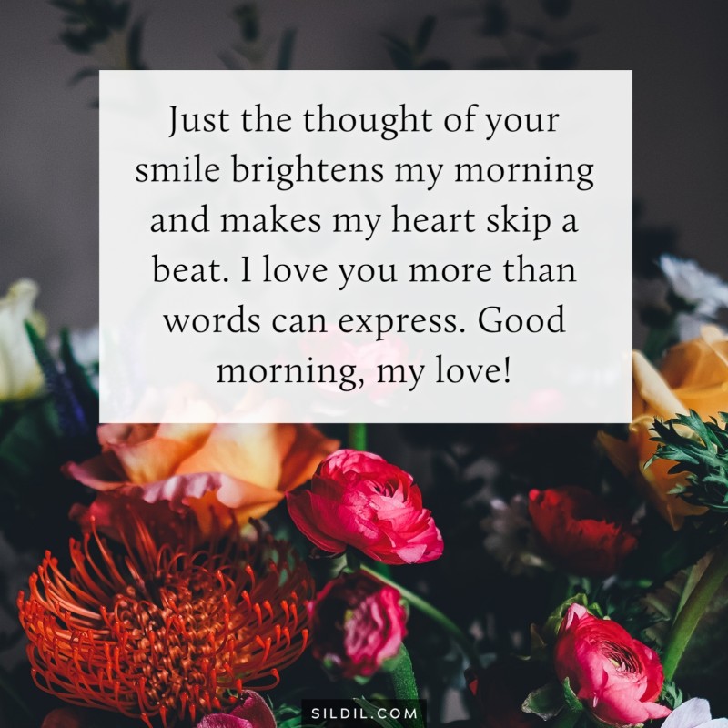 Just the thought of your smile brightens my morning and makes my heart skip a beat. I love you more than words can express. Good morning, my love!