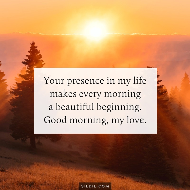 Your presence in my life makes every morning a beautiful beginning. Good morning, my love.