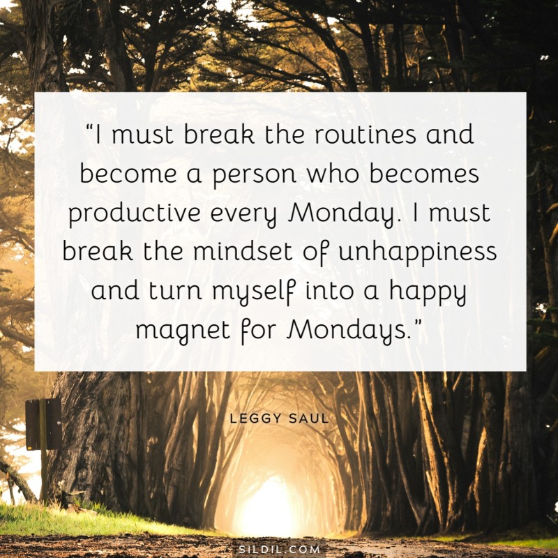 “I must break the routines and become a person who becomes productive every Monday. I must break the mindset of unhappiness and turn myself into a happy magnet for Mondays.” ― Leggy Saul