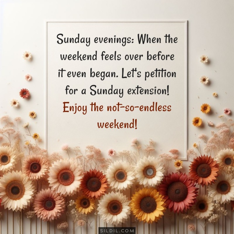Sunday evenings: When the weekend feels over before it even began. Let's petition for a Sunday extension! Enjoy the not-so-endless weekend!