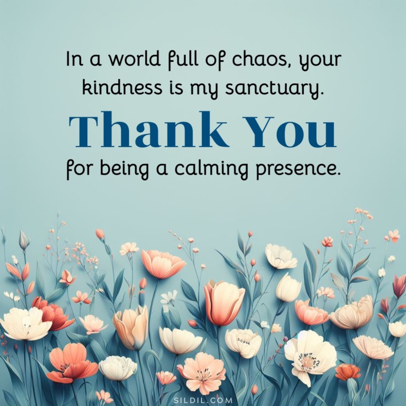 In a world full of chaos, your kindness is my sanctuary. Thank you for being a calming presence.