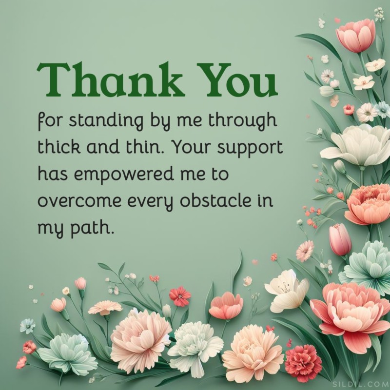 Thank you for standing by me through thick and thin. Your support has empowered me to overcome every obstacle in my path.
