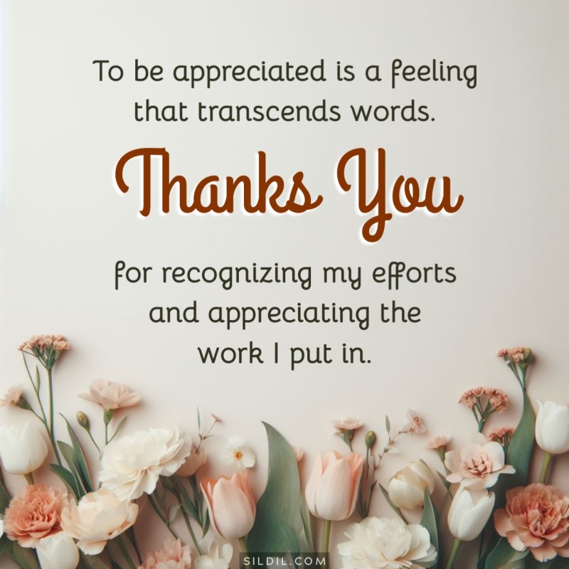 Thanks for Appreciation Quotes