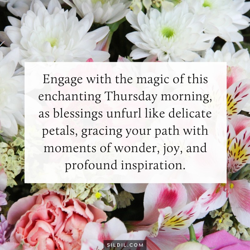 Engage with the magic of this enchanting Thursday morning, as blessings unfurl like delicate petals, gracing your path with moments of wonder, joy, and profound inspiration.