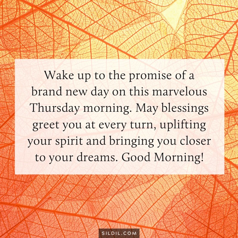 Thursday Morning Blessings