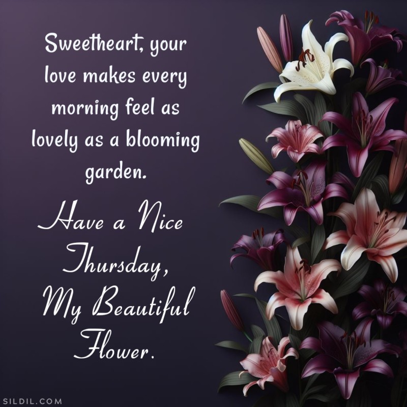 Sweetheart, your love makes every morning feel as lovely as a blooming garden. Have a nice Thursday, my beautiful flower.