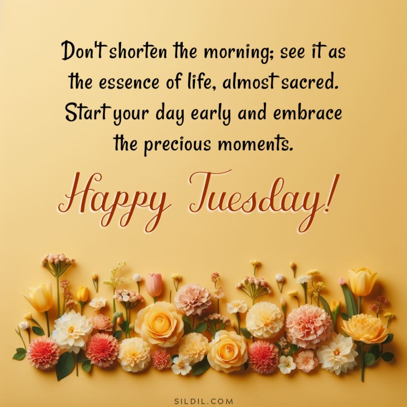 Don't shorten the morning; see it as the essence of life, almost sacred. Start your day early and embrace the precious moments. Happy Tuesday!