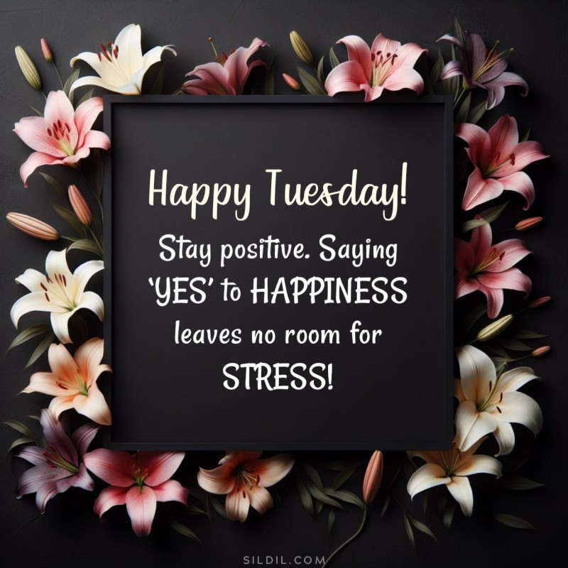 Happy Tuesday! Stay positive. Saying ‘YES’ to HAPPINESS leaves no room for STRESS!