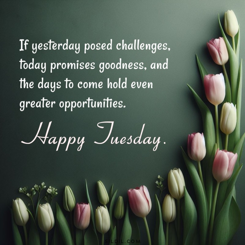 Tuesday Morning Wishes