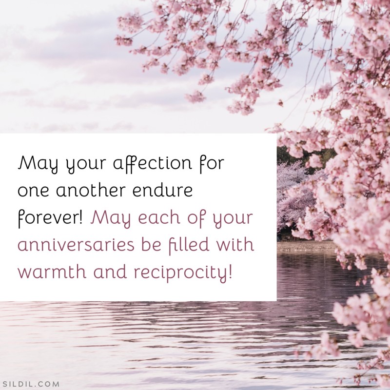 May your affection for one another endure forever! May each of your anniversaries be filled with warmth and reciprocity!