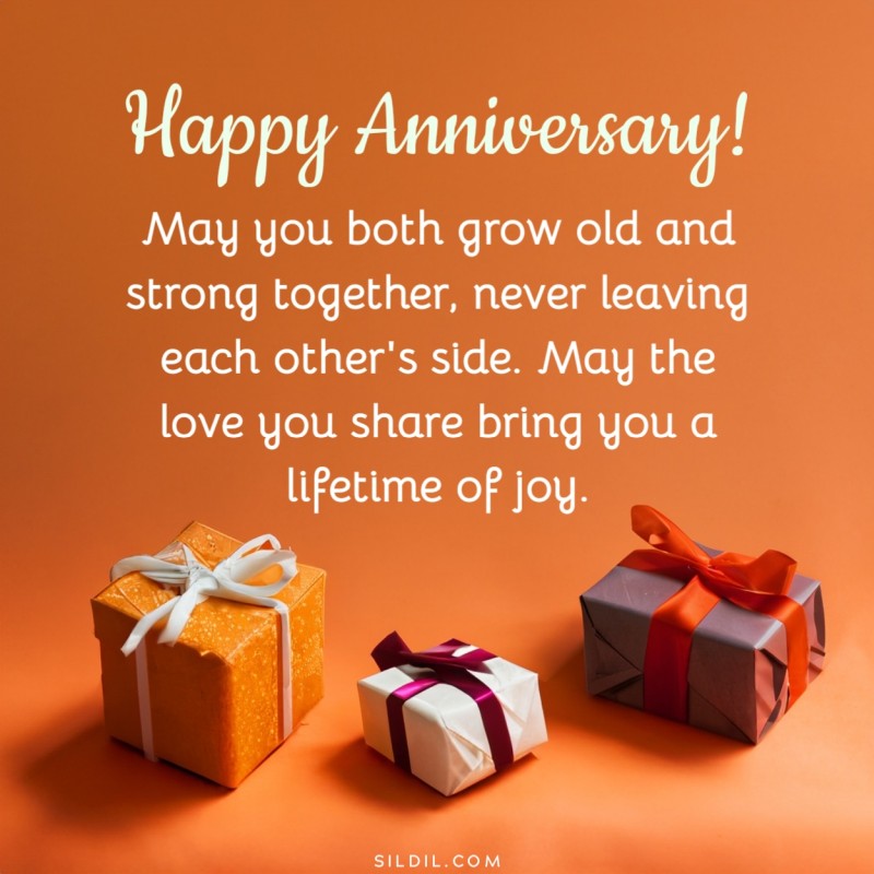 Happy Anniversary Message to Friends