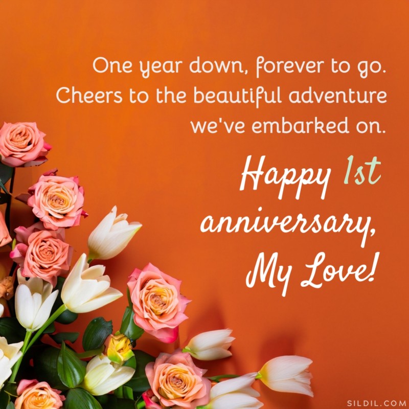 1st Wedding Anniversary Wishes for Wife