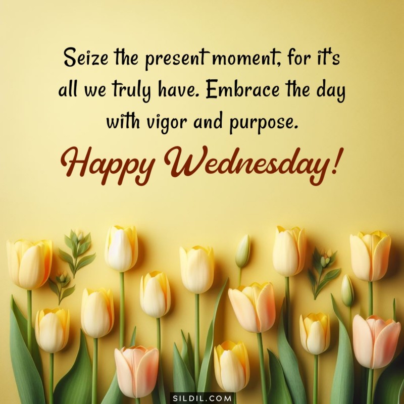 Good Morning Wishes for Wednesday
