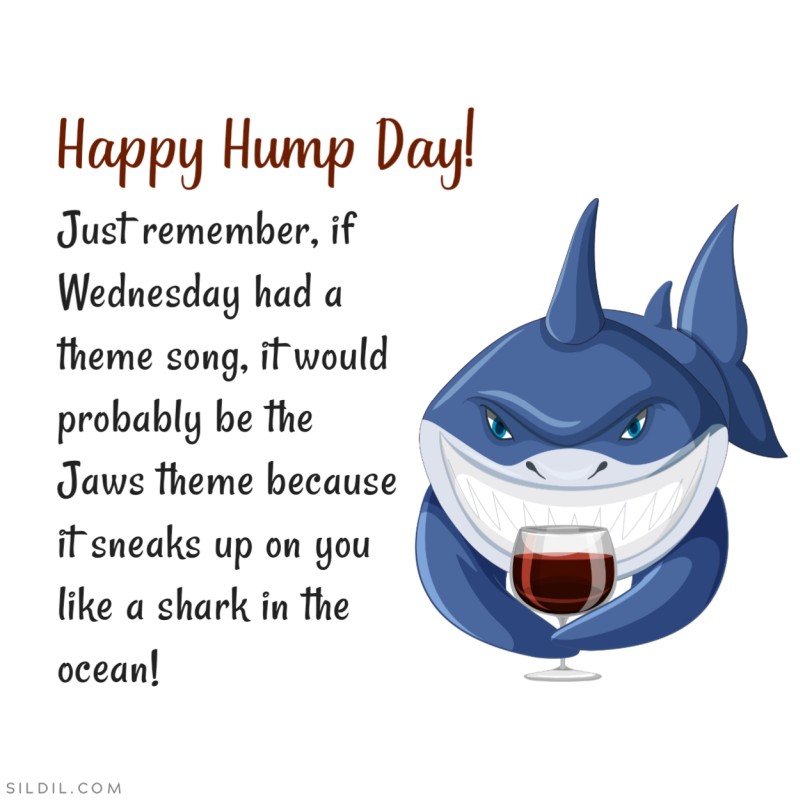 Happy Hump Day! Just remember, if Wednesday had a theme song, it would probably be the Jaws theme because it sneaks up on you like a shark in the ocean!