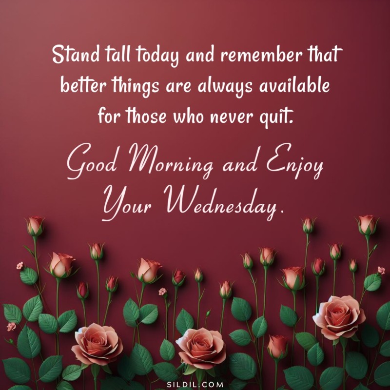 Stand tall today and remember that better things are always available for those who never quit. Good morning and enjoy your Wednesday.