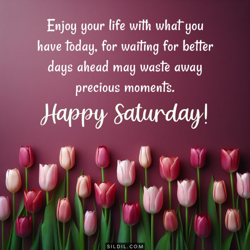 180+ Happy Saturday Greetings, Wishes, Messages and Quotes