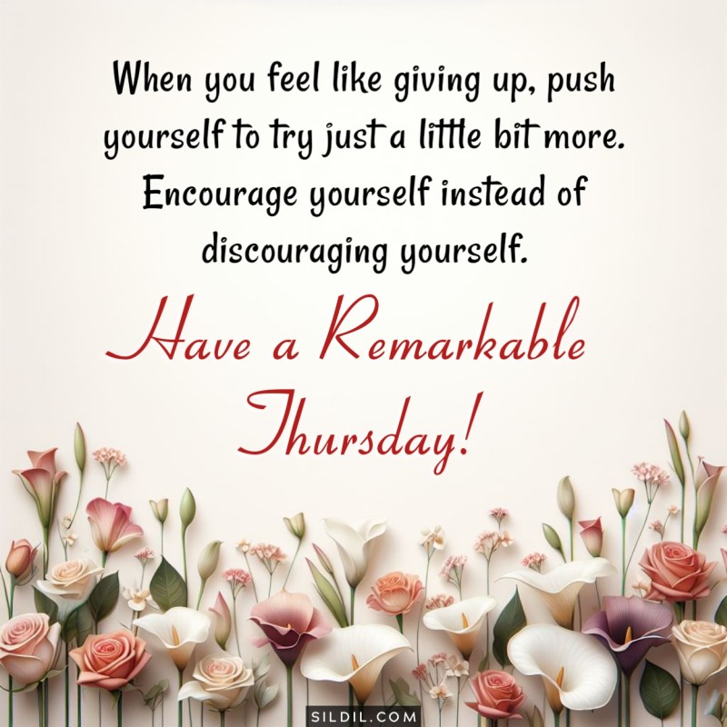 160+ Happy Thursday Greetings, Wishes, Messages and Quotes