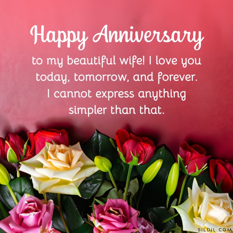 260+ Wedding Anniversary Wishes for Wife, Quotes and Messages