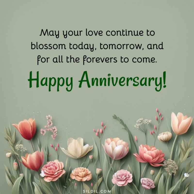 220+ Wedding Anniversary Wishes, Messages and Quotes